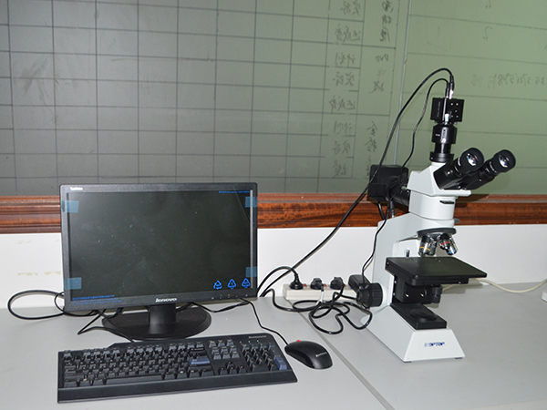 Sectioning microscope